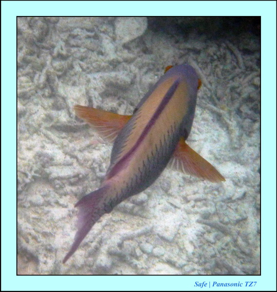 2009   07   Matakin 08